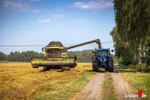 Landwirtschaft