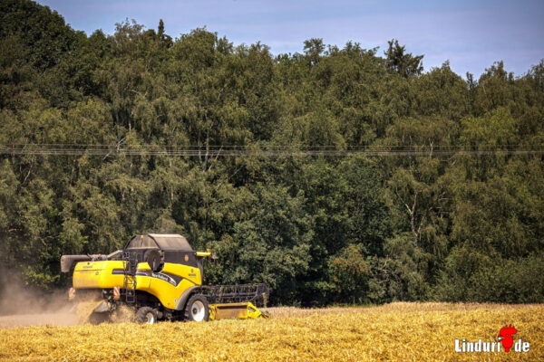 Landwirtschaft