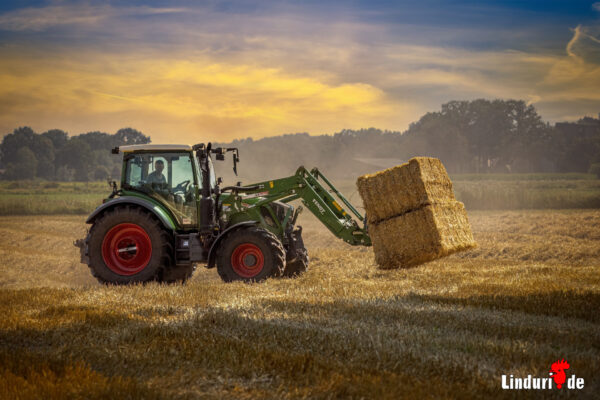 Landwirtschaft