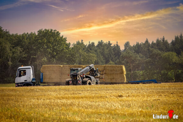 Landwirtschaft