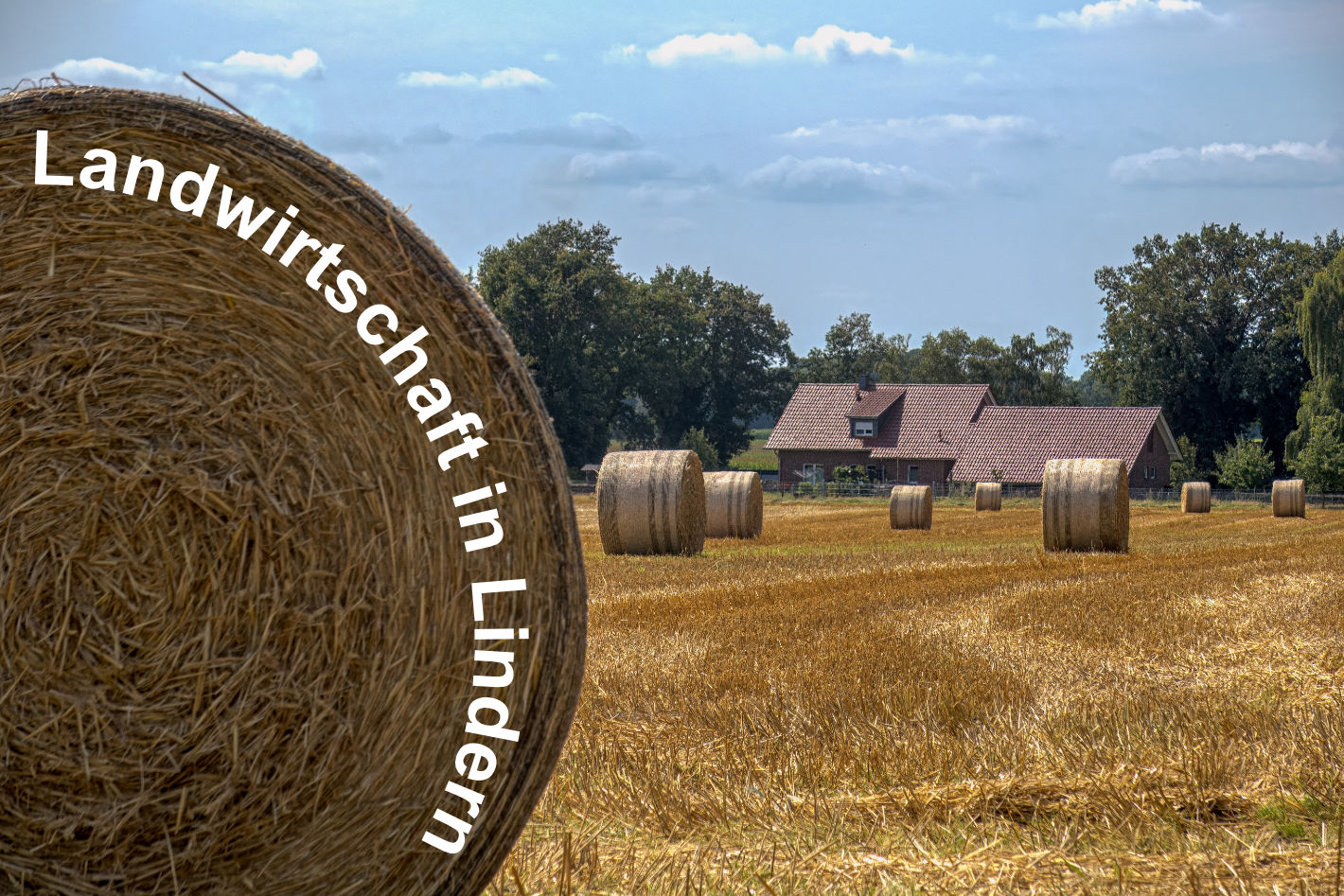 Landwirtschaft